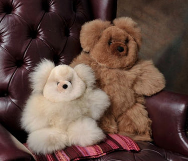 Teddy Bear