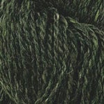 Spruce
